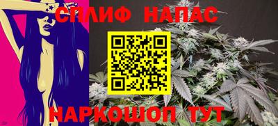 прущие грибы Канаш