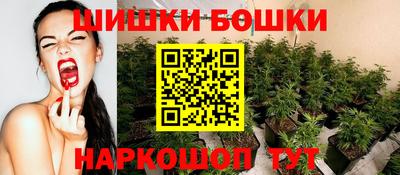 прущие грибы Канаш