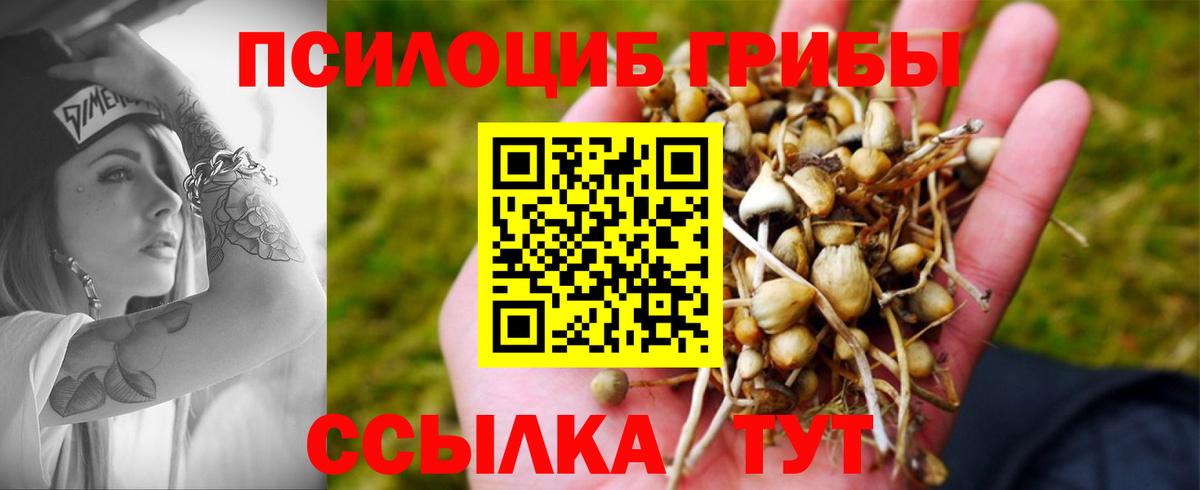 Галлюциногенные грибы Magic Shrooms Ленинск-Кузнецкий