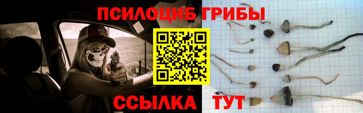 Ленинск-Кузнецкий  Галлюциногенные грибы прущие грибы  Вход с VPN 